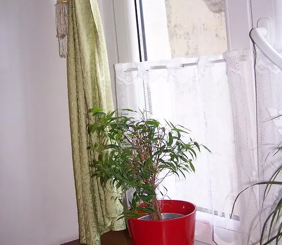 Film Хостел Познань